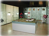 Museo de las Villas Romanas Almenara-Puras, sala de exposiciones.
