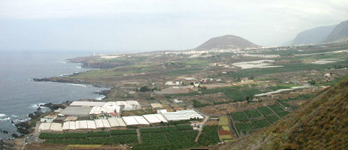 Municipio Buenavista del Norte (Tenerife)