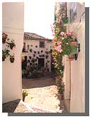Priego de Córdoba, macetas con flores.