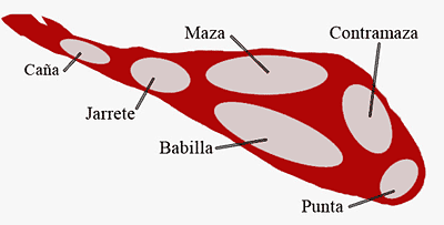 Las partes del Jamón Ibérico y Serrano