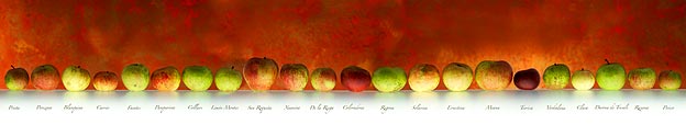 Variedades de manzanas para elaborar la Sidra de Asturias